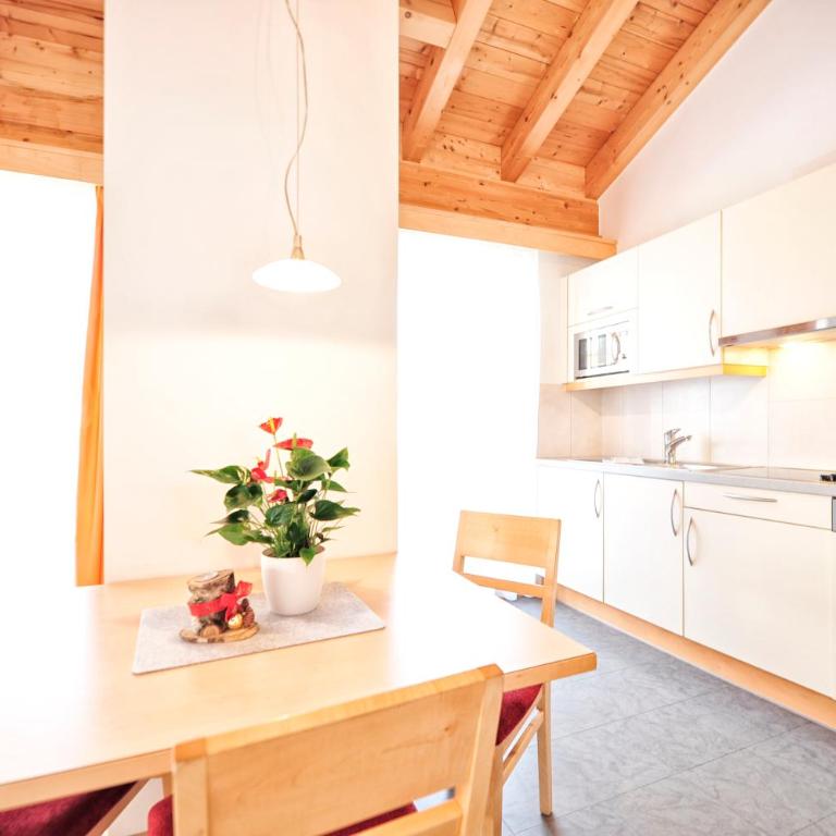 Appartements Plattlerhof - Apartamento de 1 dormitorio - 4