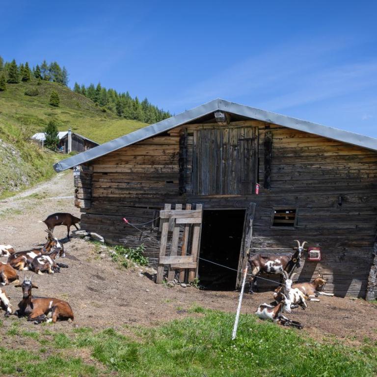 H19 - Modernes Ferienhaus 145qm, 3SZ, Wellnessbereich mit Sauna und Dachterrasse mit Panoramablick, Kühlen und Heizen mit Geothermie - Vacation Home - 34