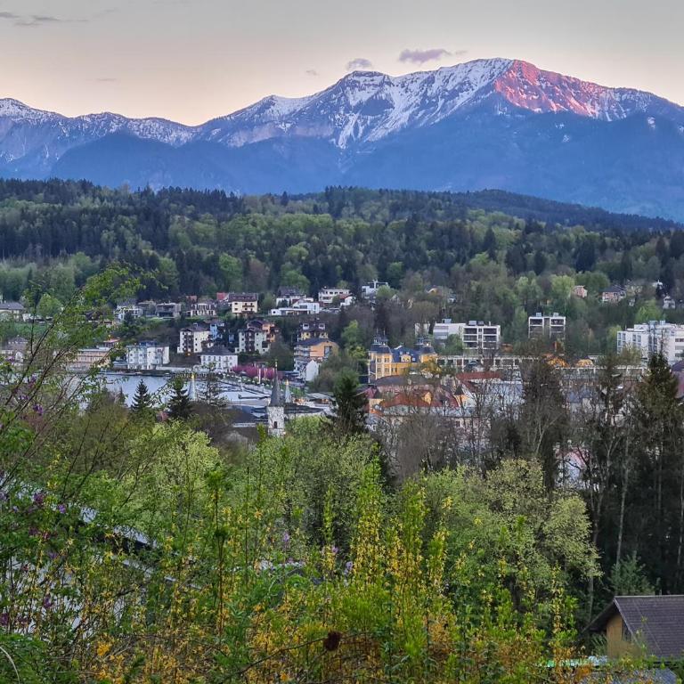 Gemütliche Ferienwohnung mit Terrasse und Seeblick - Apartment mit 1 Schlafzimmer - 33