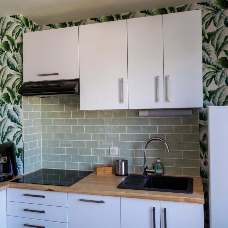 Les rives de l Allier F3 avec parking gratuit - Appartement 2 Chambres - 6