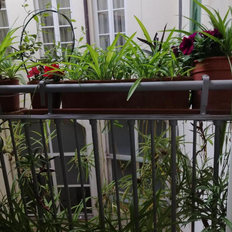 Florence Pitti Loft - Appartamento con 2 Camere da Letto - 14
