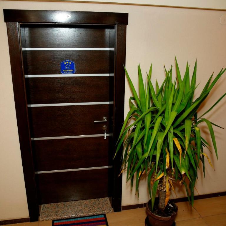 Apartman Dunja - Apartman sa 1 Spavaćom Sobom - 18