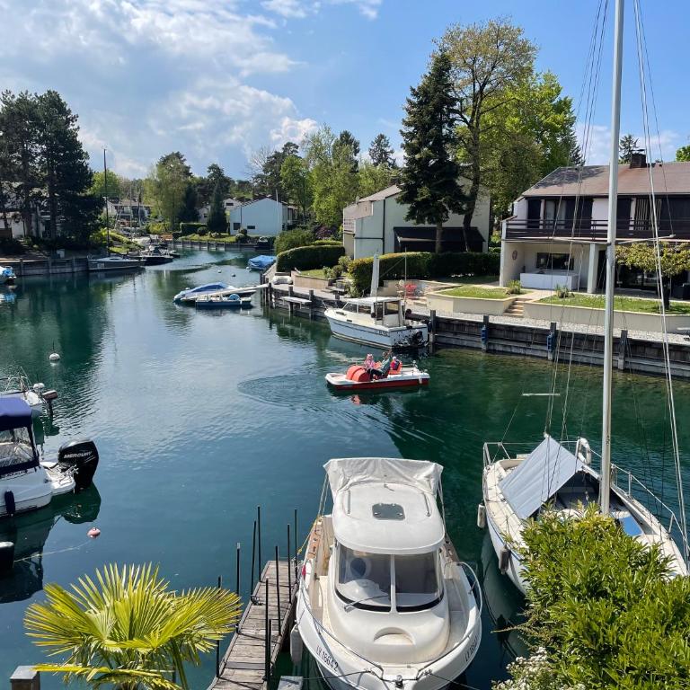 Port Ripaille, les grèbes - Maison 2 Chambres - 2