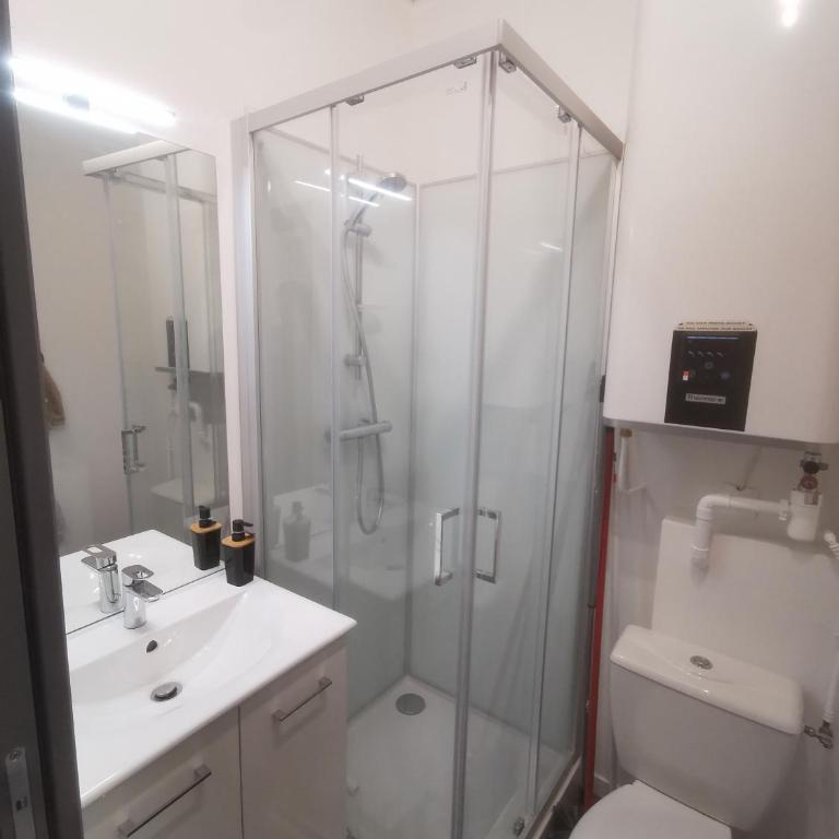 Appartement cozy en plein centre ville - Appartement 1 Chambre - 14