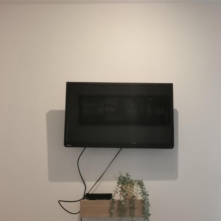 Appartement cozy en plein centre ville - Appartement 1 Chambre - 7