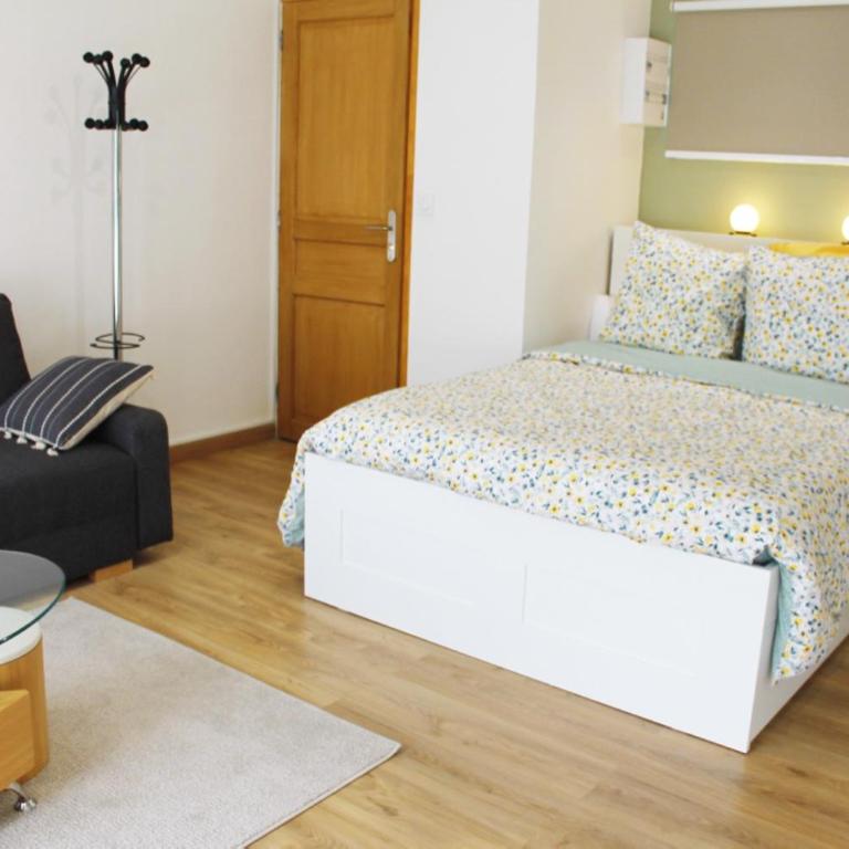 Saint Etienne : appartement Châteaucreux 40 M2 - Appartement 1 Chambre - 4