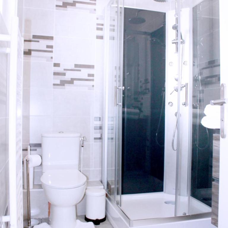 Saint Etienne : appartement Châteaucreux 40 M2 - Appartement 1 Chambre - 7