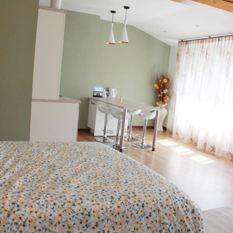 Saint Etienne : appartement Châteaucreux 40 M2 - Appartement 1 Chambre - 5