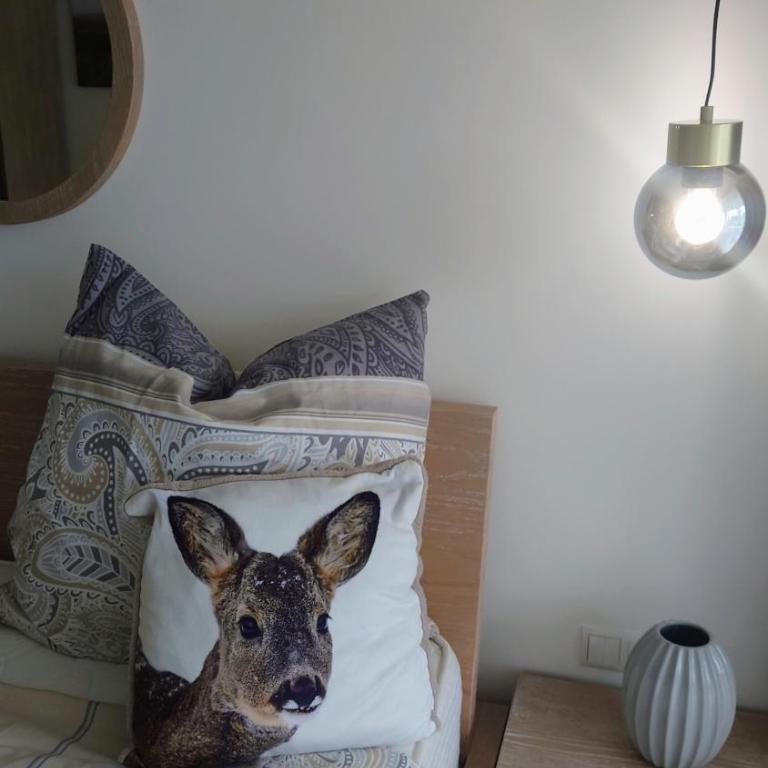 Maurers Schlierseetraum 6, Studio 455 mit 42 qm neu renoviert, Erdgeschoss mit eingezäunter Terrasse in ruhiger Lage am Kirchbichlweg 8 - Apartment mit 1 Schlafzimmer - 11
