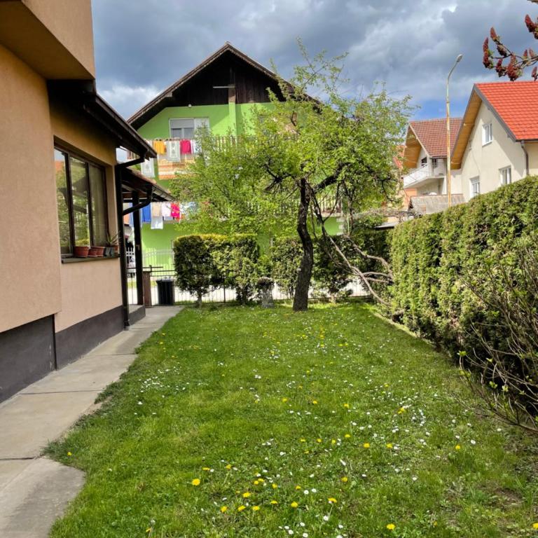 Dana apartman - Apartman sa 2 Spavaće Sobe - 2