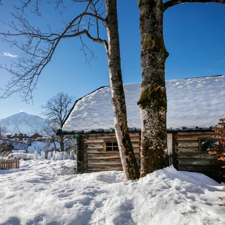 Villa Rosen der Villa Liechtenstein - Your Austrian Home - Villa - 16