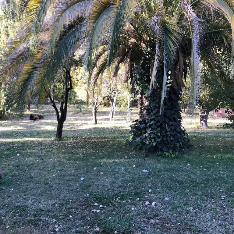 Casa San Alfonso , Cajon del Maipo. - Casa de 4 dormitorios - 21