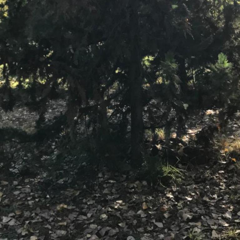 Casa San Alfonso , Cajon del Maipo. - Casa de 4 dormitorios - 27