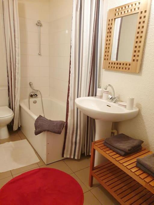 Charmant Studio Duplex 26m2 à la montagne - Appartement 1 Chambre - 8