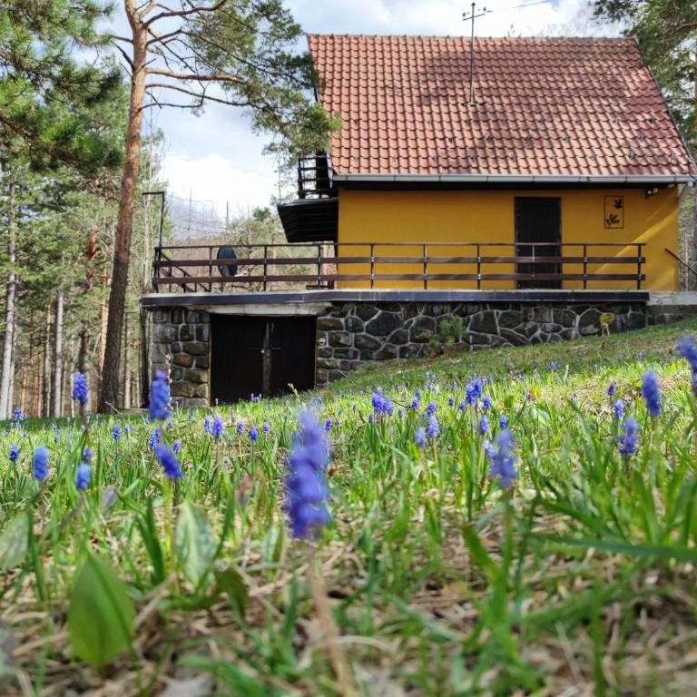 Planinska kuća Čudesni bor - Two-Bedroom House - 1