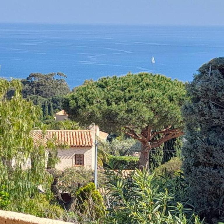 4-Star Private Villa with Heated Pool and Panoramic Sea View at Gulf de Saint Tropez - Villa - 33