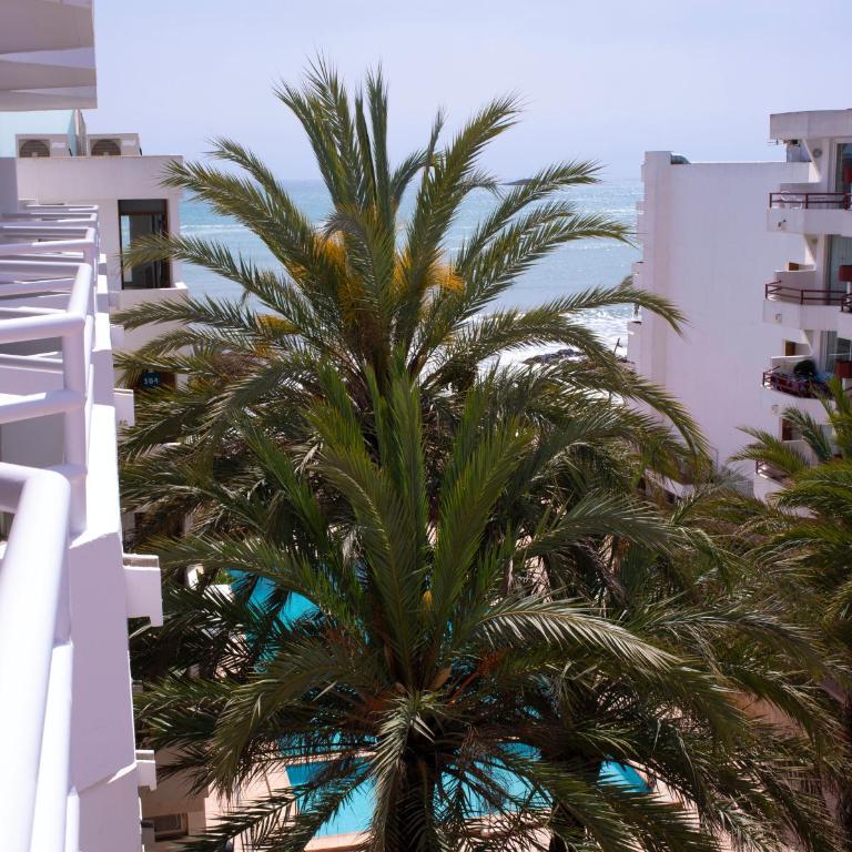 Apartamentos Llobet Ibiza - Apartamento Superior con vistas al jardín - 12