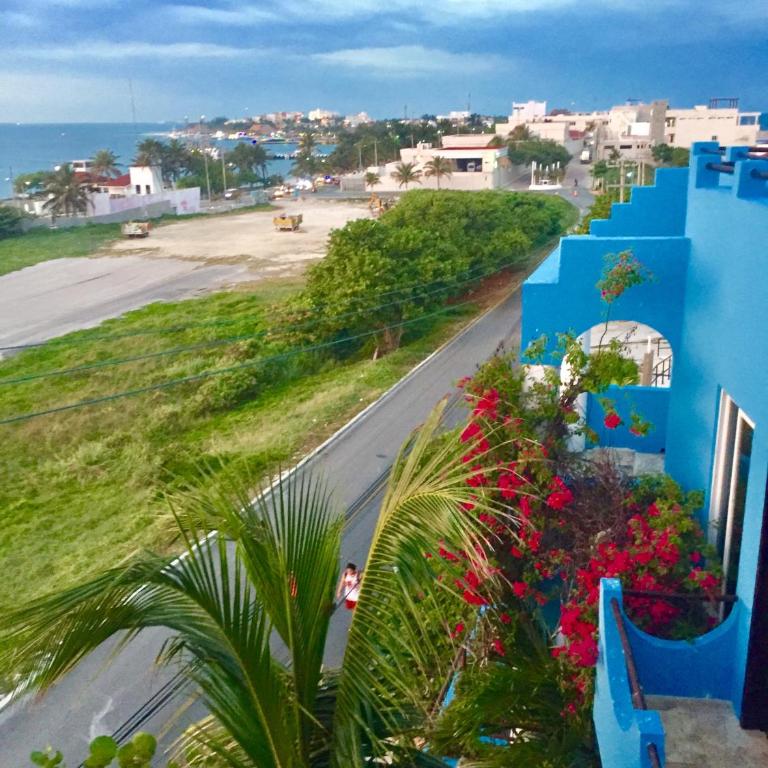 Casa Cielo Studio 1 with Tropical Garden Patio - Studio with Garden View - 24