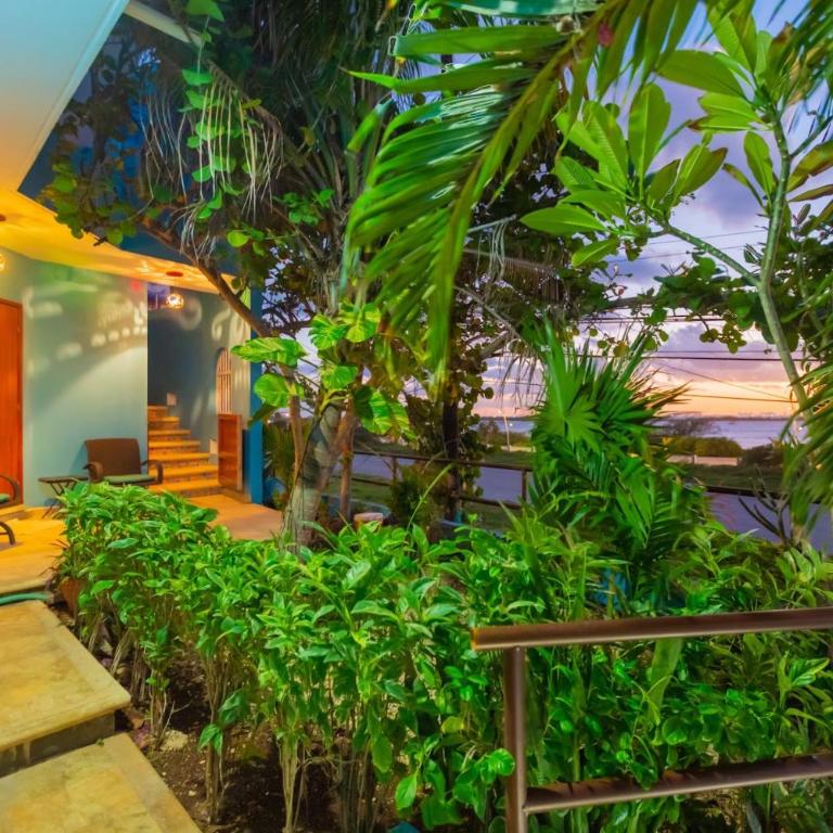 Casa Cielo Studio 1 with Tropical Garden Patio - Studio with Garden View - 1
