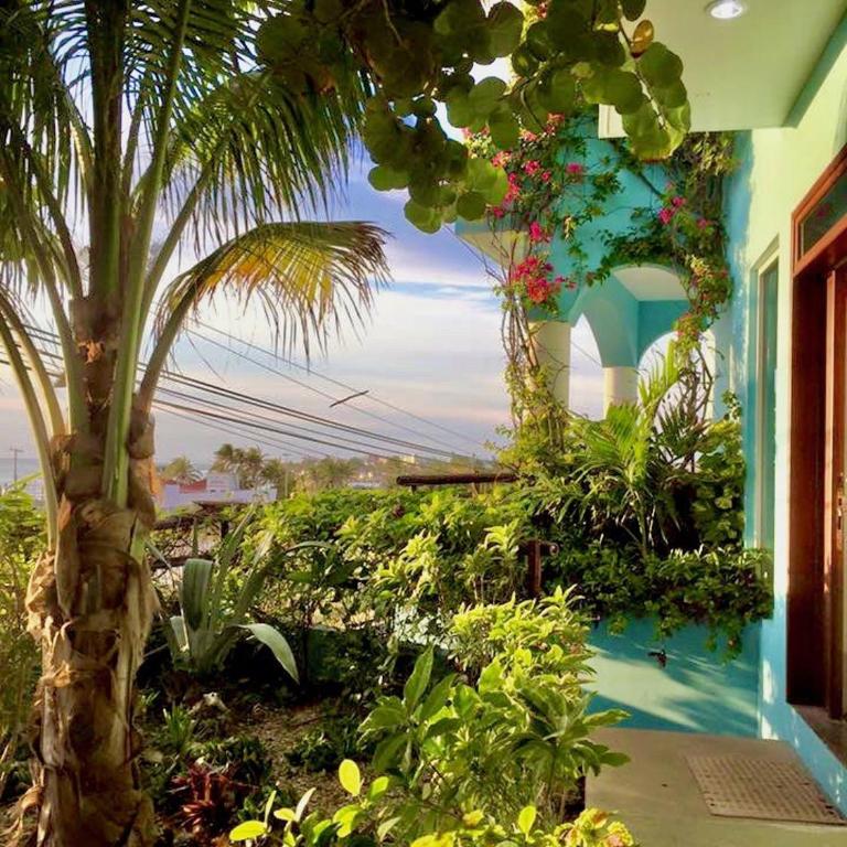Casa Cielo Studio 1 with Tropical Garden Patio - Studio with Garden View - 21