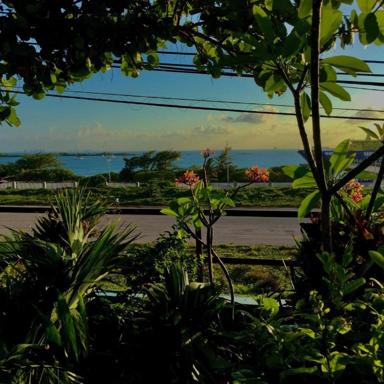 Casa Cielo Studio 1 with Tropical Garden Patio - Studio with Garden View - 22