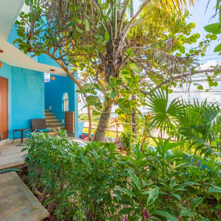 Casa Cielo Studio 1 with Tropical Garden Patio - Studio with Garden View - 23