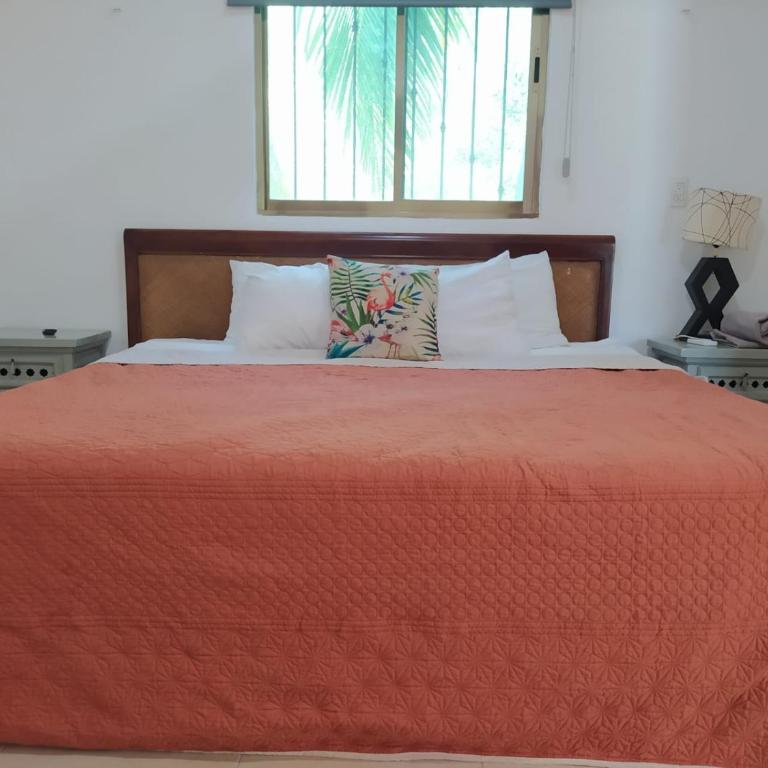 Casa aloha-Isla Holbox - Apartamento con vistas a la piscina - 4
