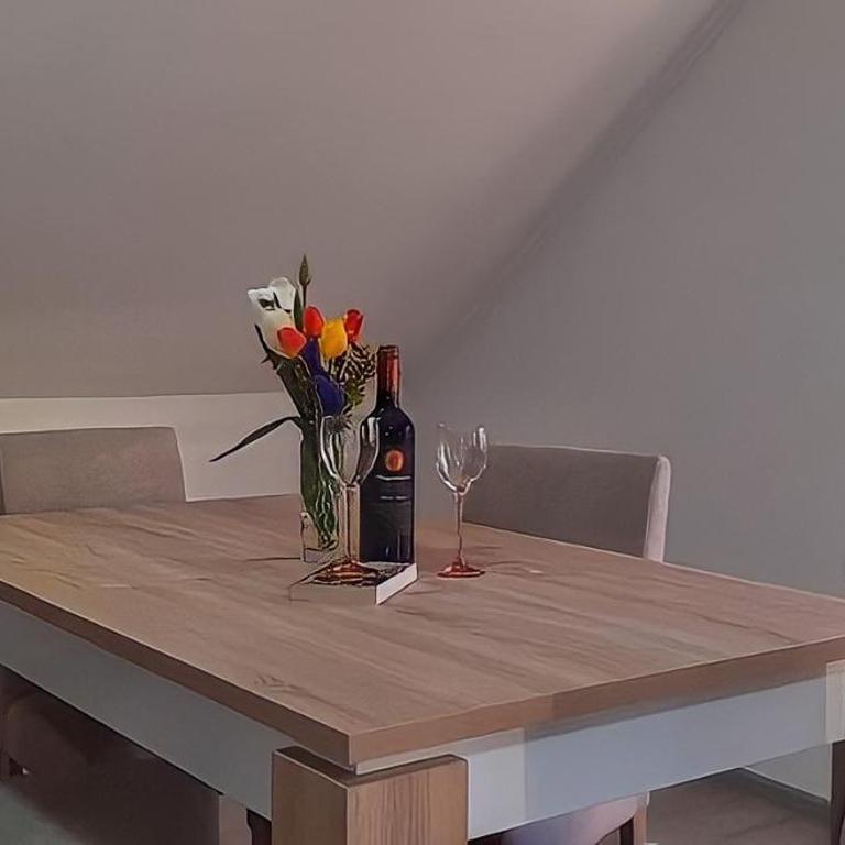 Smeštaj PETRONIJEVIĆ Bajina Bašta - Apartman sa 1 Spavaćom Sobom - 7
