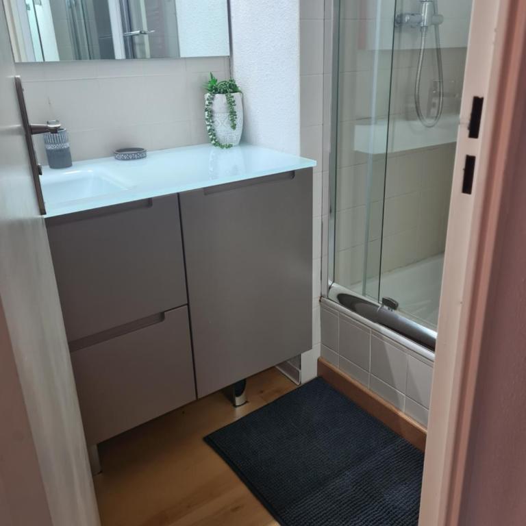 grand studio 28 m2 tout confort au pieds des pistes - Apartment mit 2 Schlafzimmern - 17