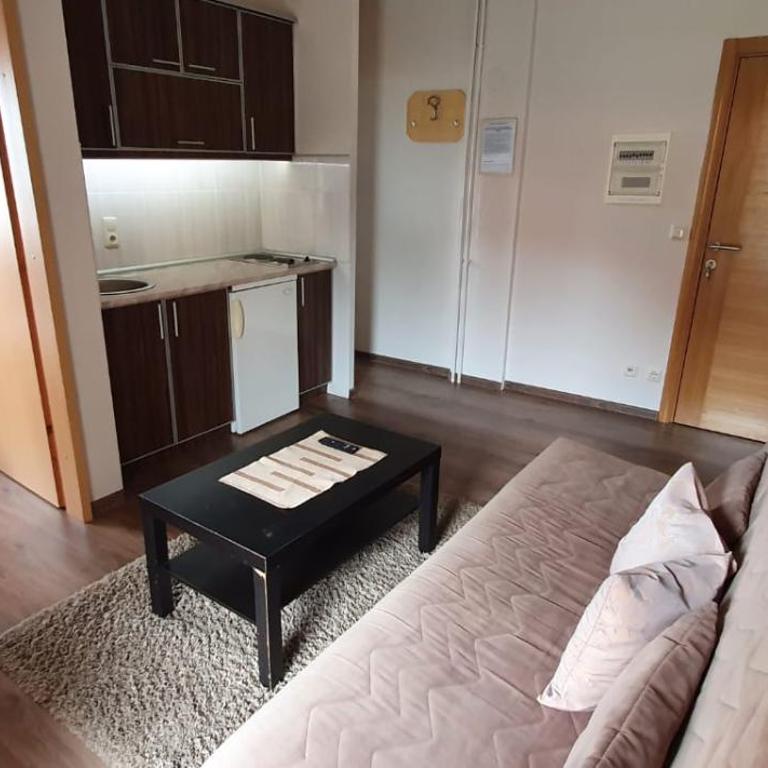 Apartmani STiKiC - Apartman sa 1 Spavaćom Sobom - 17