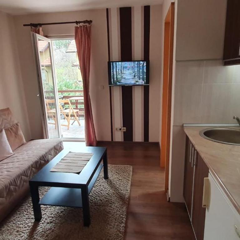 Apartmani STiKiC - Apartman sa 1 Spavaćom Sobom - 18