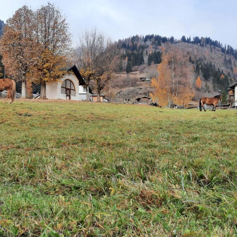 B&BeautyFol Dolomites B&B adults only - Camera Matrimoniale/Doppia con Letti Singoli con Bagno Privato - 11