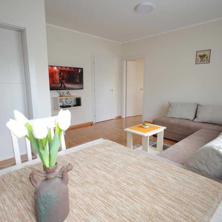 Vila Vrnjački Raj - One-Bedroom Apartment - 3