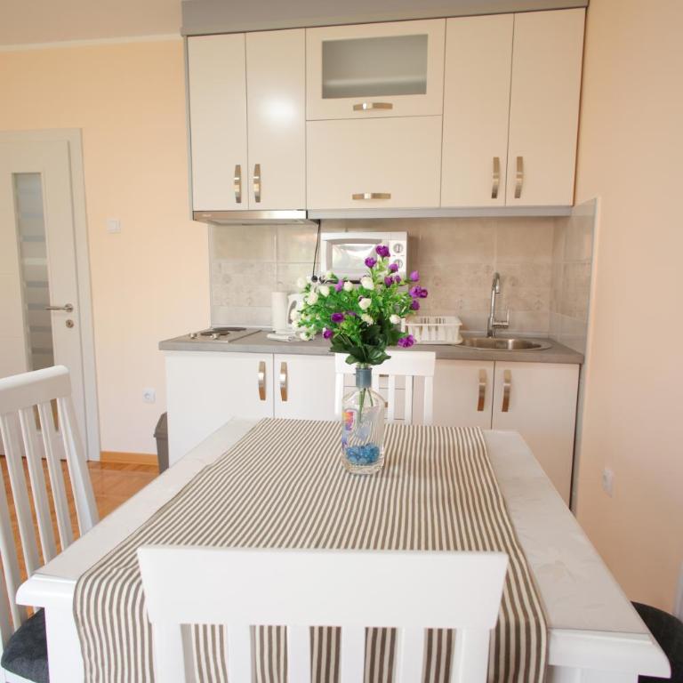 Vila Vrnjački Raj - Studio Apartment - 4