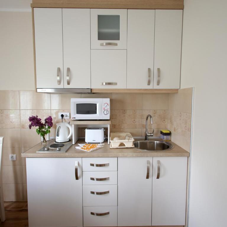 Vila Vrnjački Raj - One-Bedroom Apartment - 13