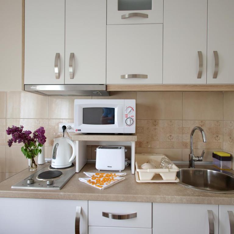 Vila Vrnjački Raj - One-Bedroom Apartment - 20