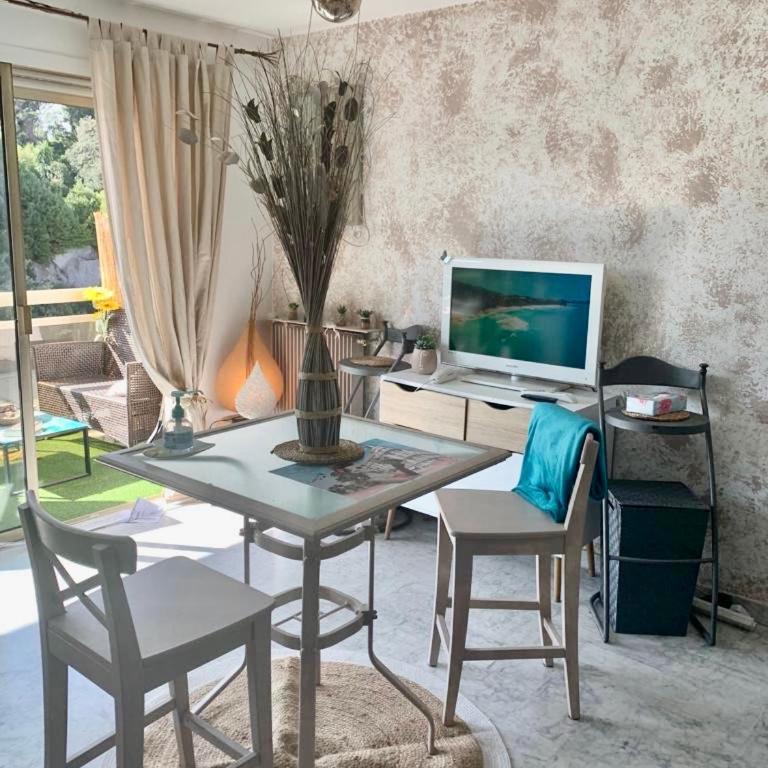 Luxurious Studio in Cannes 450m from sea with Terrace and Air Conditioning and private Parking - Appartement 1 Chambre - 36