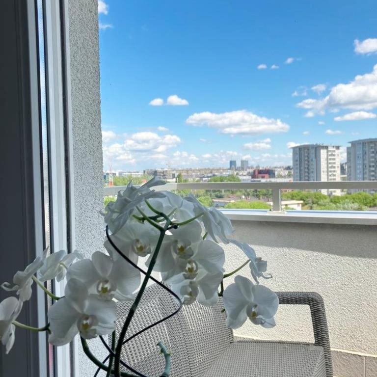 Cozy nest SAVADA - Apartman sa 1 Spavaćom Sobom - 4