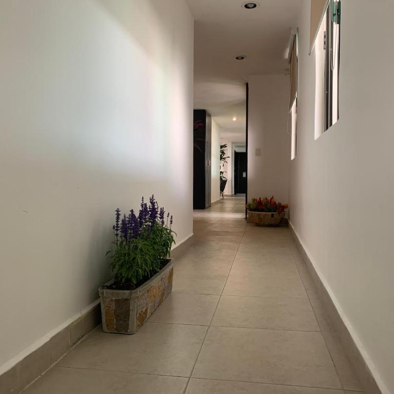 Hotel Escala Puebla Centro - Apartamento Superior - 4
