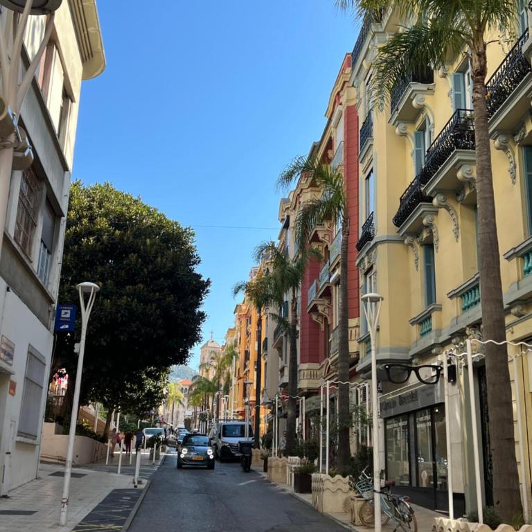 Charming Sunny Apartment across Monte Carlo Casino - One-Bedroom Apartment - 3