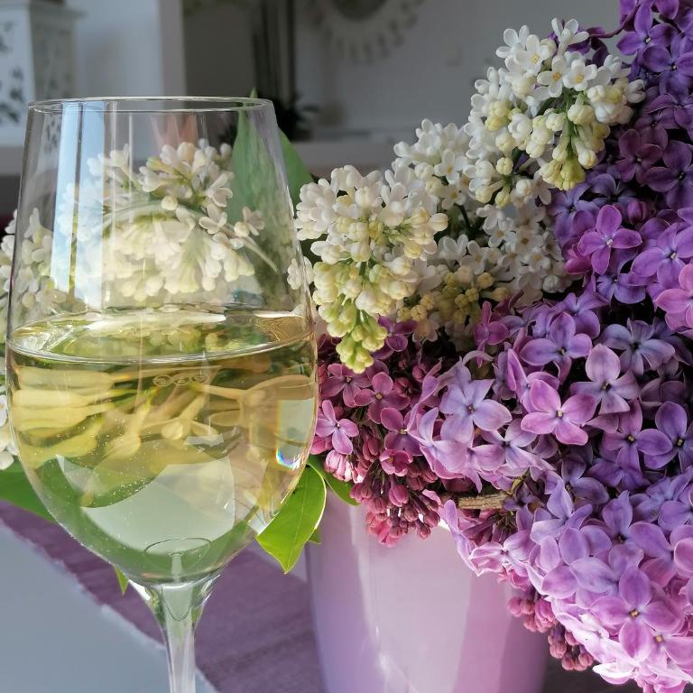 Summer Wine romantisches, fahrradfreundliches Weinbergidyll mit Traumausblick gleich neben Buschenschank! - Apartment mit 1 Schlafzimmer - 35