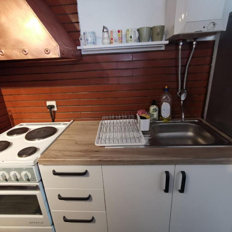 Kneginje Zorke suite - Apartman sa 2 Spavaće Sobe - 6