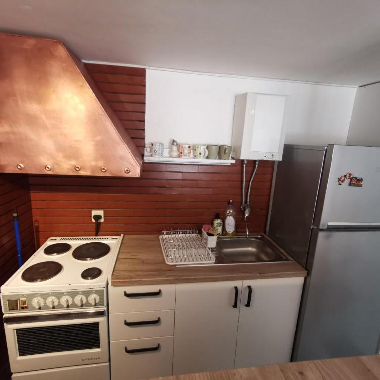 Kneginje Zorke suite - Apartman sa 2 Spavaće Sobe - 9