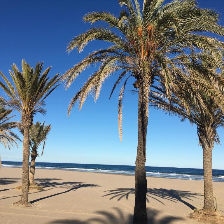 Nuevo Apartamento Elegante Gandia - Apartamento de 3 dormitorios - 26