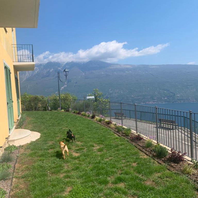 Villa Belvedere - Villa 2 Chambres - 3
