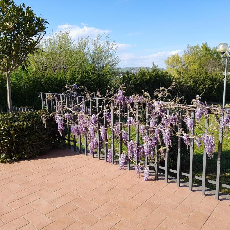 LA TERRAZZA DI OTTO - Camera Matrimoniale con Bagno Privato - 5