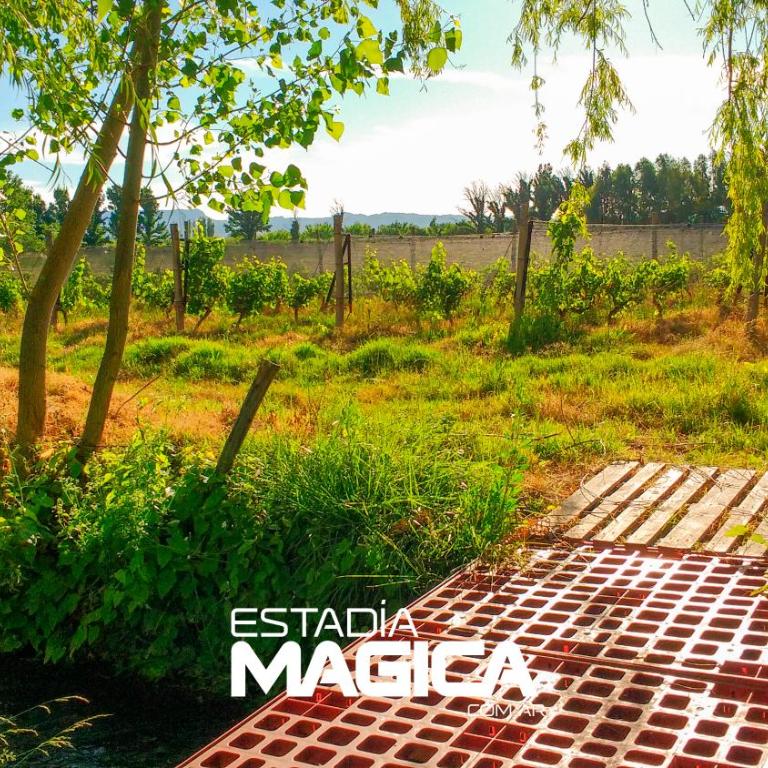 Cabañas El Vencedor - Villa de 2 dormitorios - 18