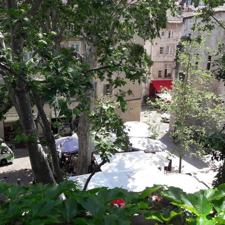 RÉNOVÉ, vue SUR Palais des Papes, terrasse et WIFI TROISIEME ETAGE - Apartment mit 1 Schlafzimmer - 40