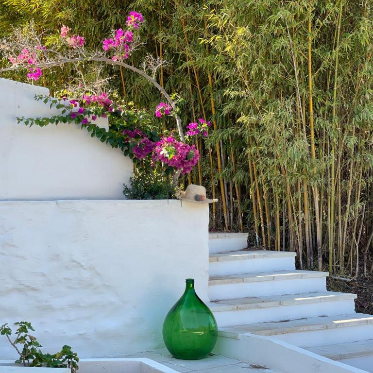 Villa Anna Maria Otranto - Appartamento con 1 Camera da Letto e Vista Giardino (3 Adulti) - 53
