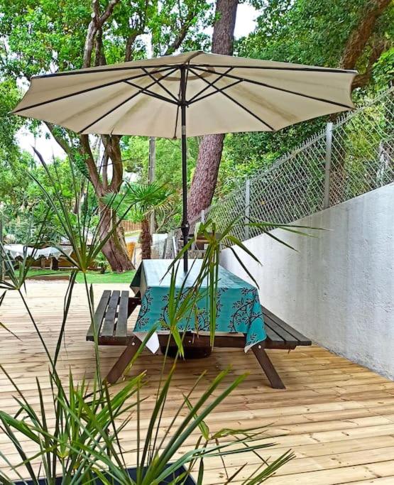 HOSSEGOR LE GARDEN lac et océan à pieds - Appartamento con 1 Camera da Letto - 6